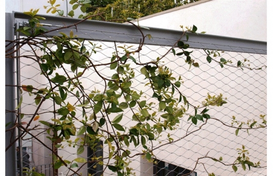 Azotea Mirallers