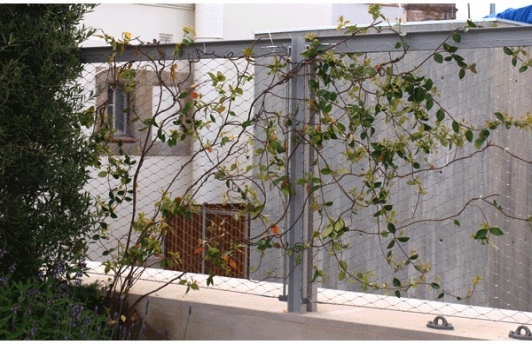 Azotea Mirallers