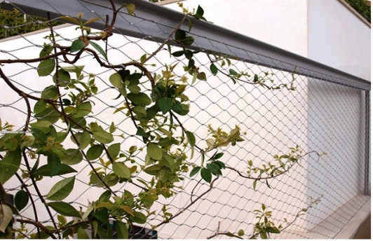 Azotea Mirallers